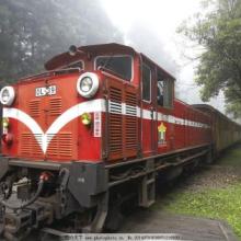 中亞物流新動脈 新疆泰運集團遠影國際貨運的多式聯運優勢解析
